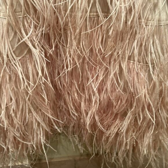 Bebe strapless fringe and sequin dress. Top is gold and the fringe is light pink - Picture 3 of 11